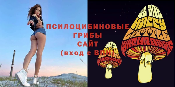 mdpv Магадан