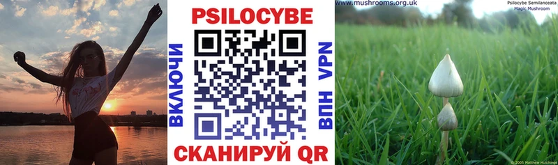 Галлюциногенные грибы прущие грибы  Таруса 