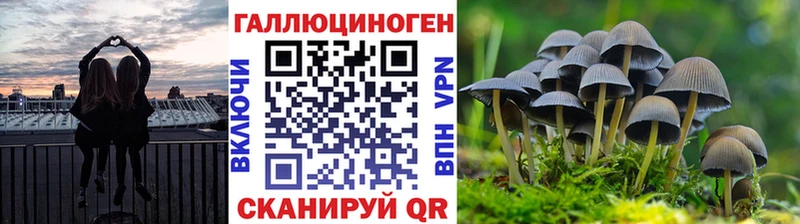 Галлюциногенные грибы Magic Shrooms Таруса